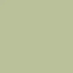Vivid Olive