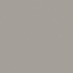 Buhne Board Commercial Wall Panel Empire Grey Swatch colour
