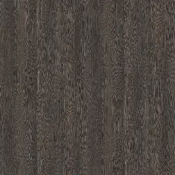 Sangha Wenge