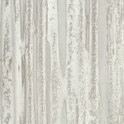 Silver Rain