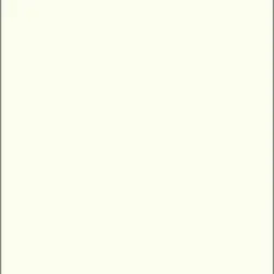 Premium White Gloss
