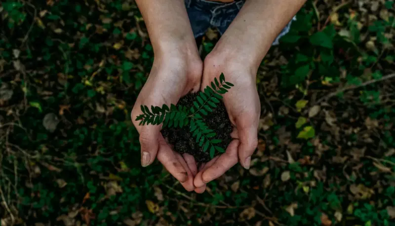 Rearo environmental ethos