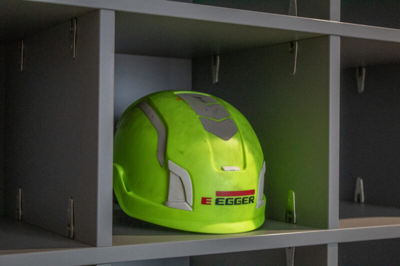 Egger Barony   Rearo Casee Study