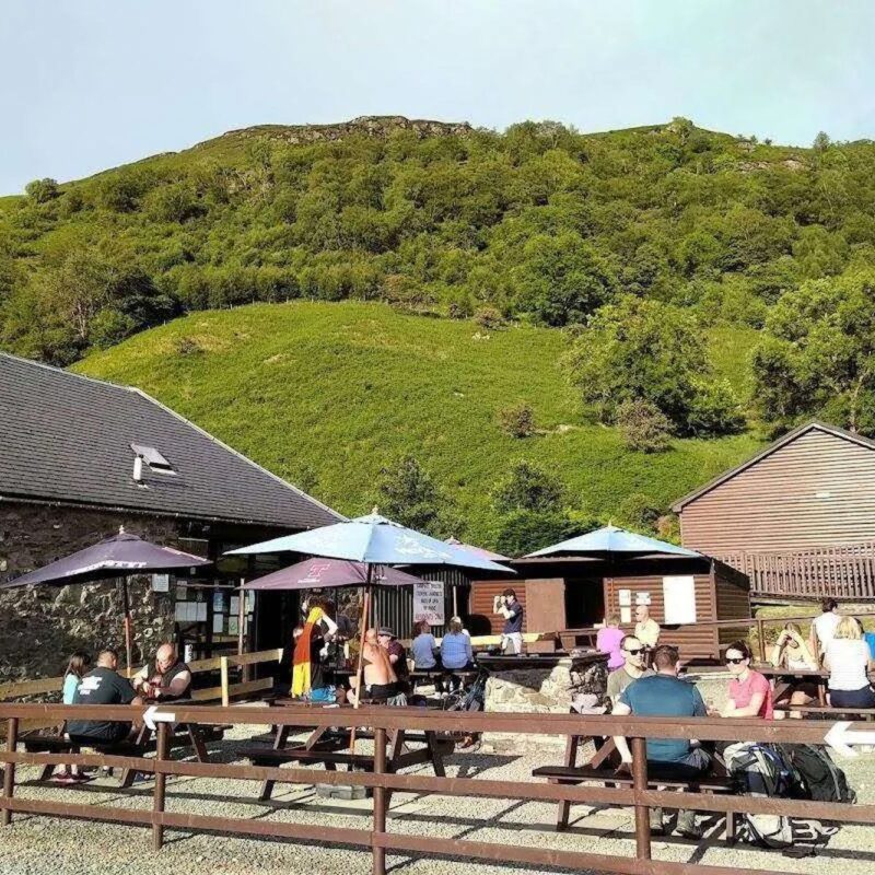 beinglas case study 3 (1)