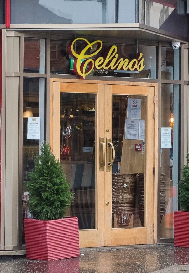 celinos case study 1
